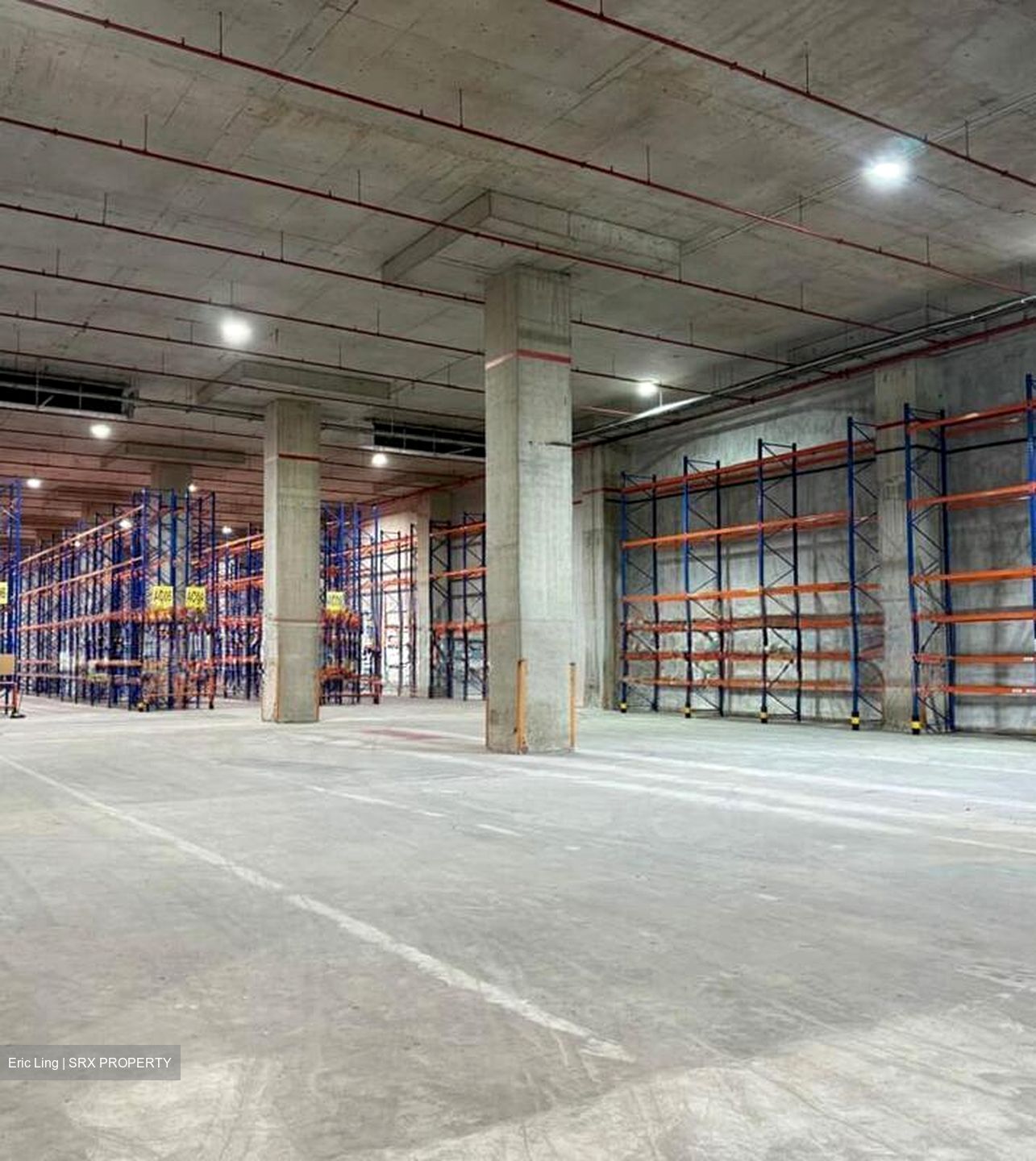 Tic Tech Centre (D5), Warehouse #521036921
